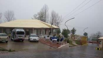 Chinar Family Resort