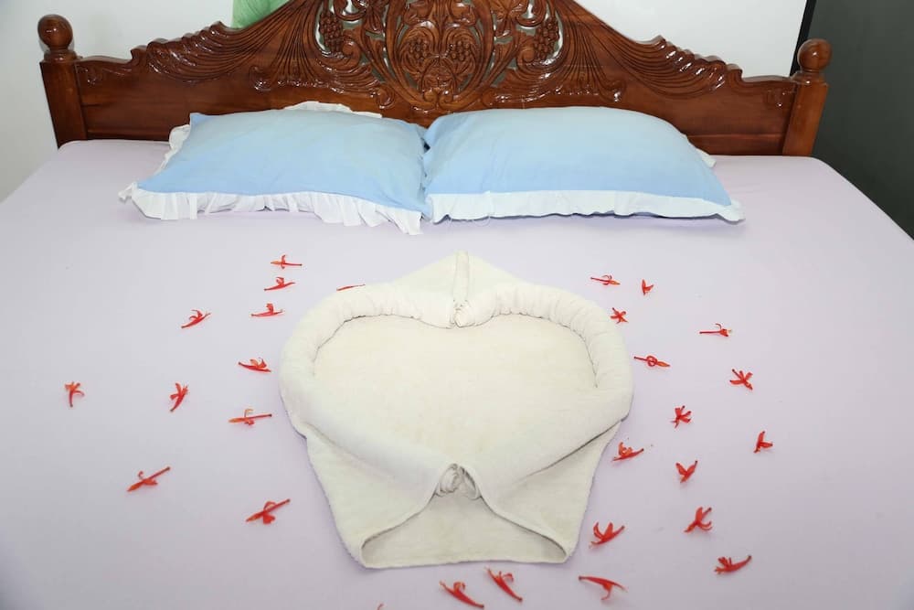 Mount Garden Guest House