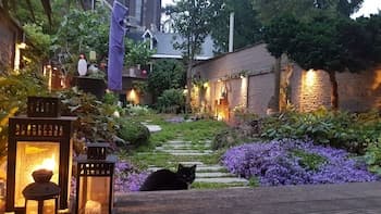 Bed & Breakfast Guesthouse Leman