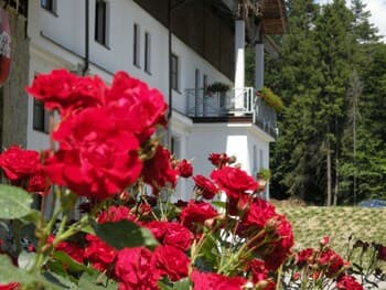 Hotel Jaworzyna Krynicka