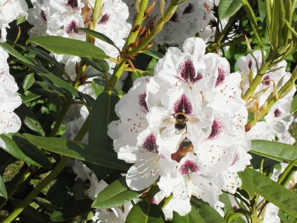 Mortimer Trail B & B