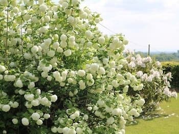 Mortimer Trail B & B