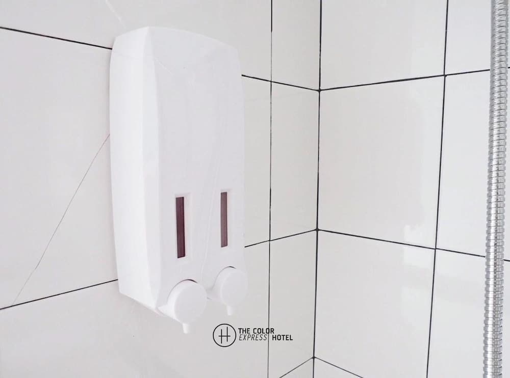 The Color Express Hotel