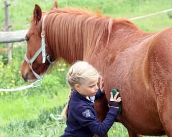 Quinta da Samoqueirinha
