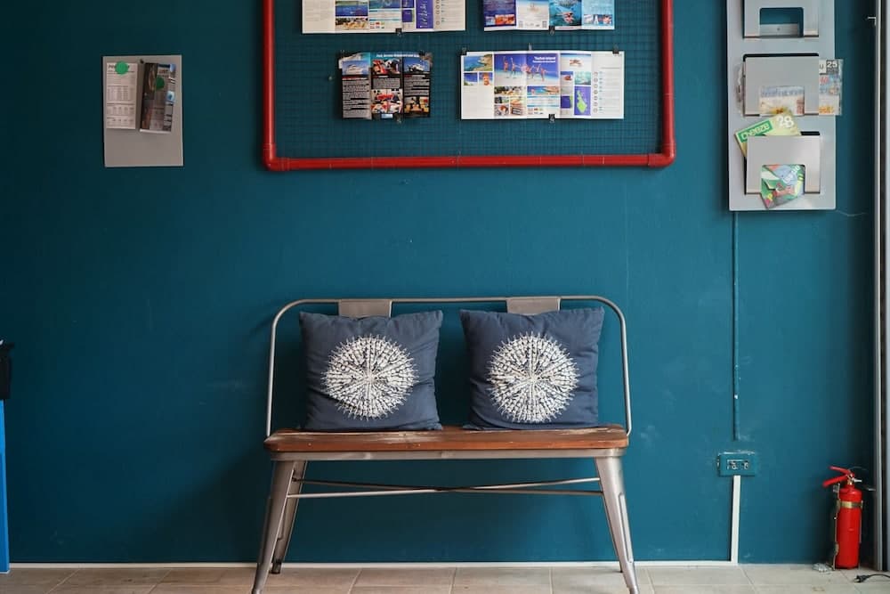 Monkey Dive YOLO Bungalow