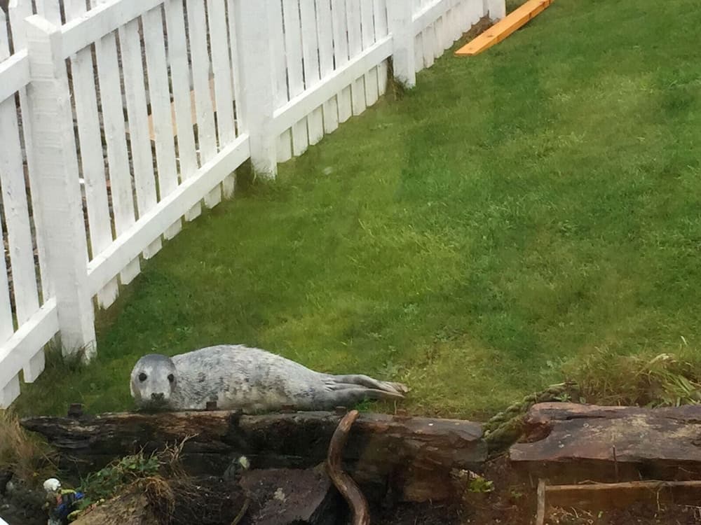 Pew With a View - Seafront Cottages