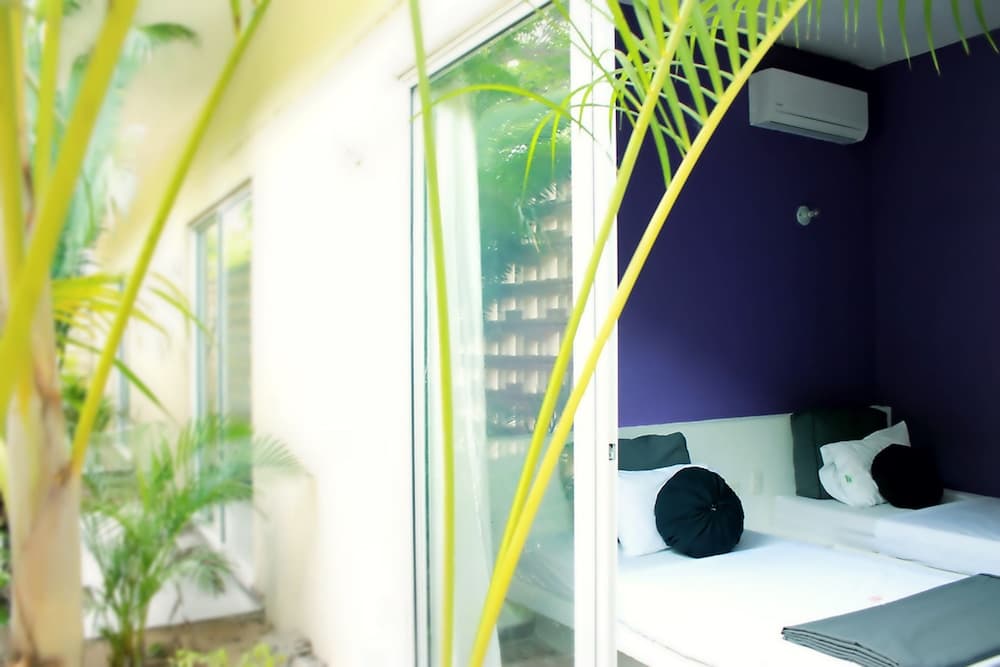 Color Hostel Palomino