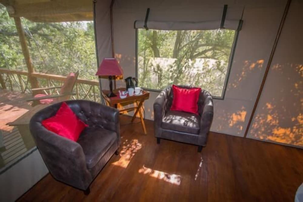 Lion Tree Top Lodge