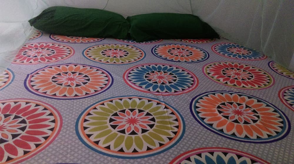 Weligama Ancient Mural