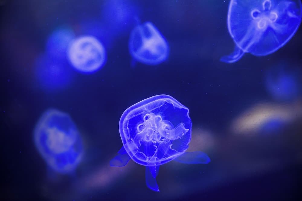 Hotel Bali An Resort Kinshicho - Adults Only