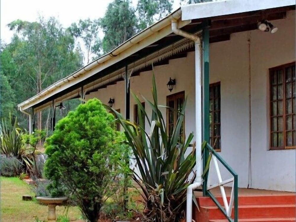 Sycamore Avenue Treehouses