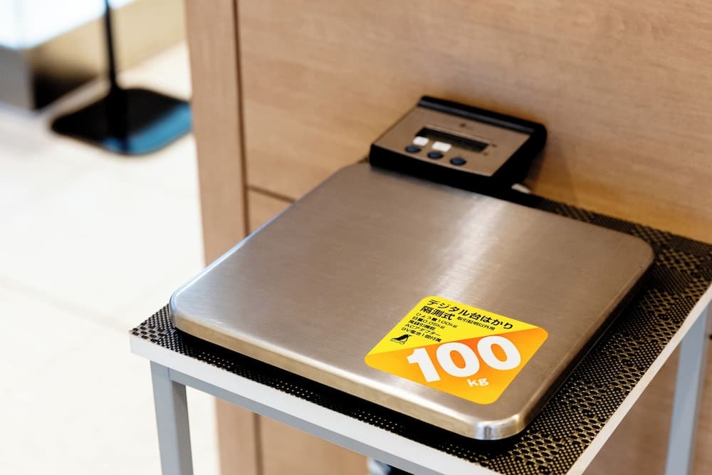 Richmond Hotel Premier Musashikosugi