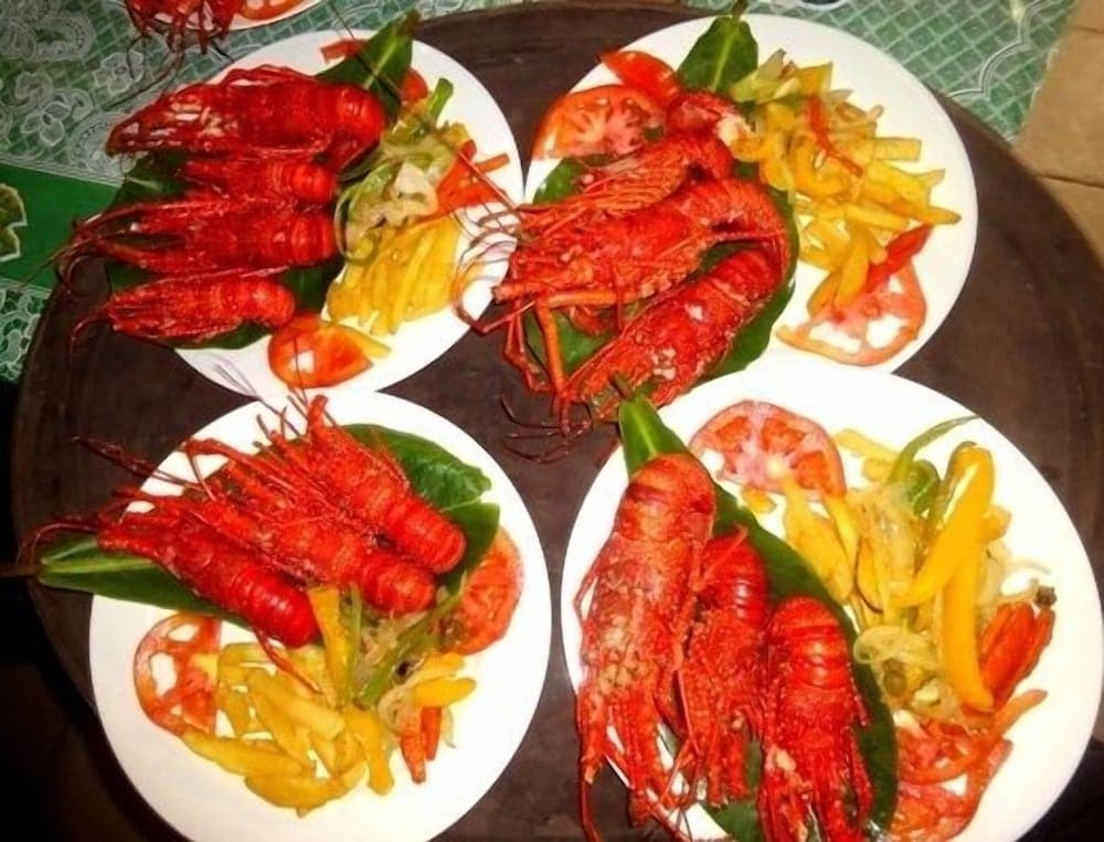 Dolphin Lodge Uaguinega