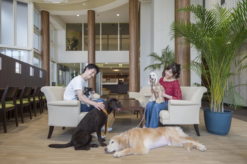 Izu-Kogen Wan Wan Paradise Condominium