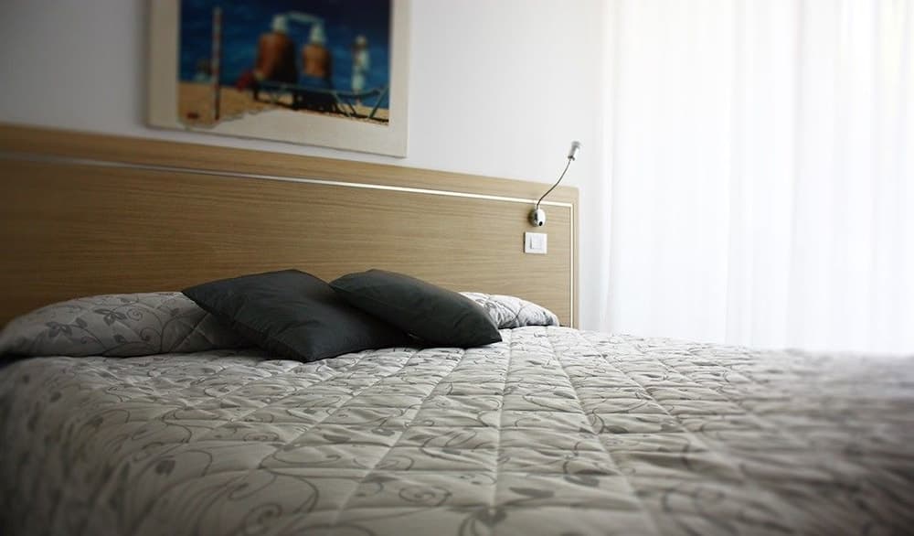 Hotel Meublé Zenith