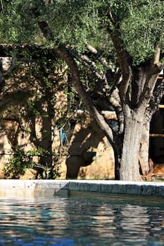 Petit Hotel Es Figueral