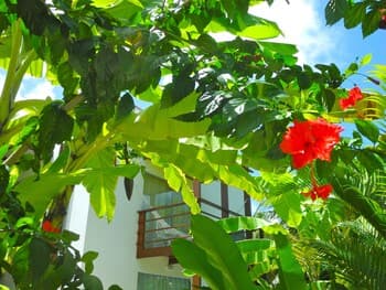 La Réserve Design Villas