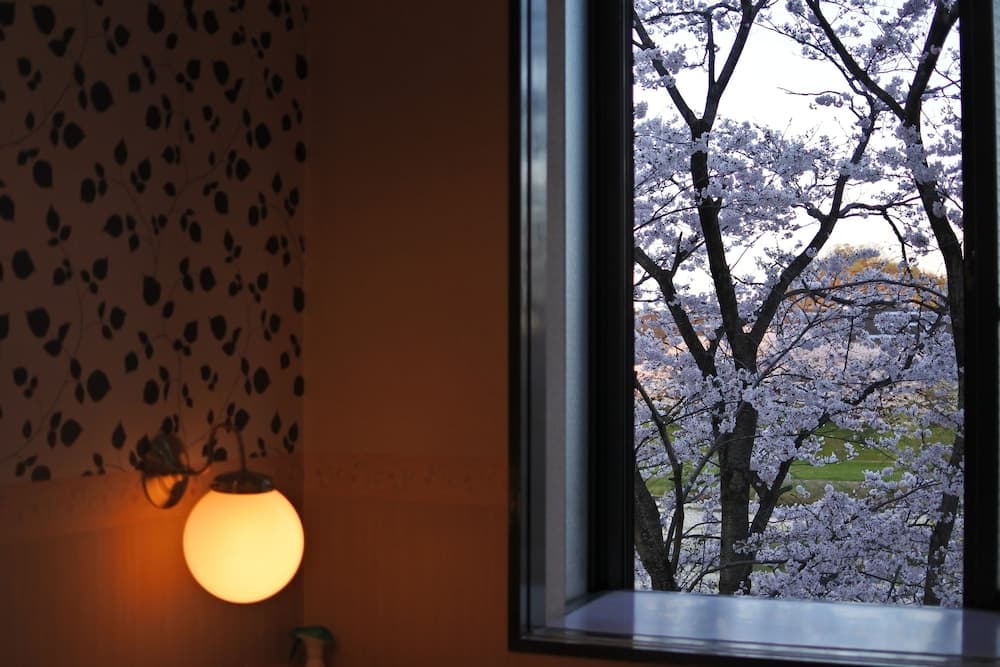 HOTEL DRESSY -Adults Only