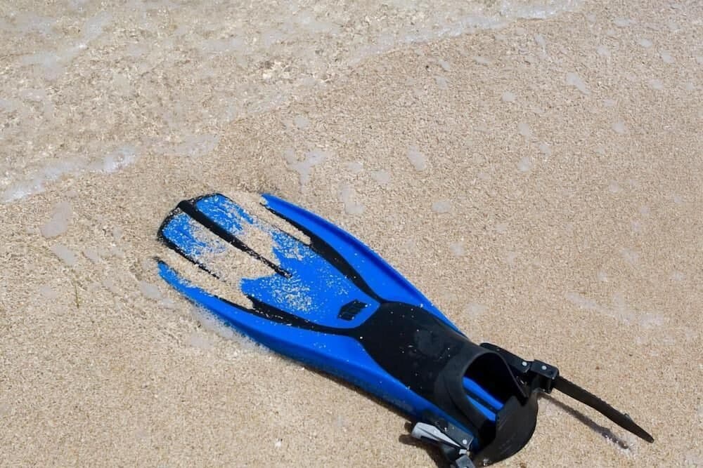 Lawson Rock Magnolia House