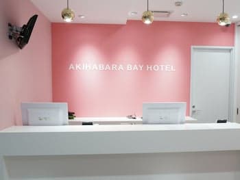 Akihabara BAY HOTEL - Caters to Women