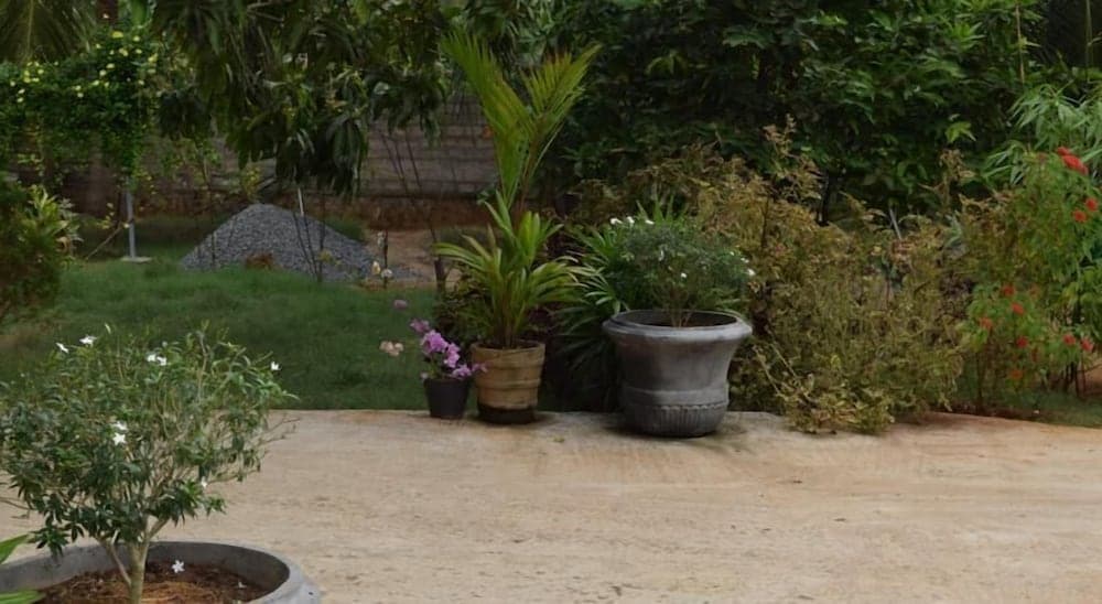 The Coconut Garden Hotel & Restaurant