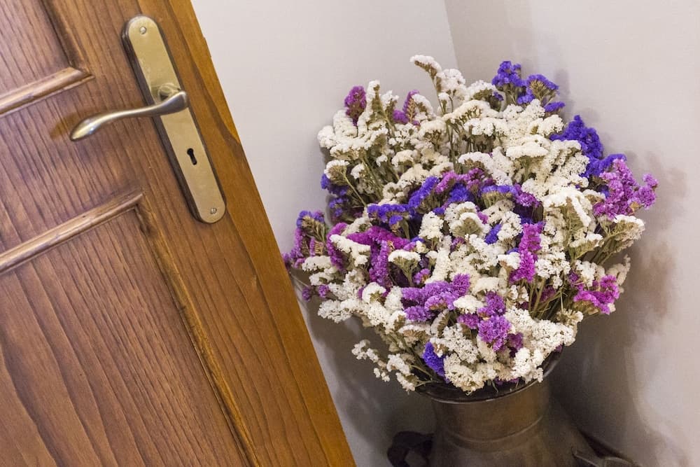 Charming Antas House