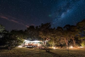 Mukambi Fig Tree Bush Camp – All Inclusive