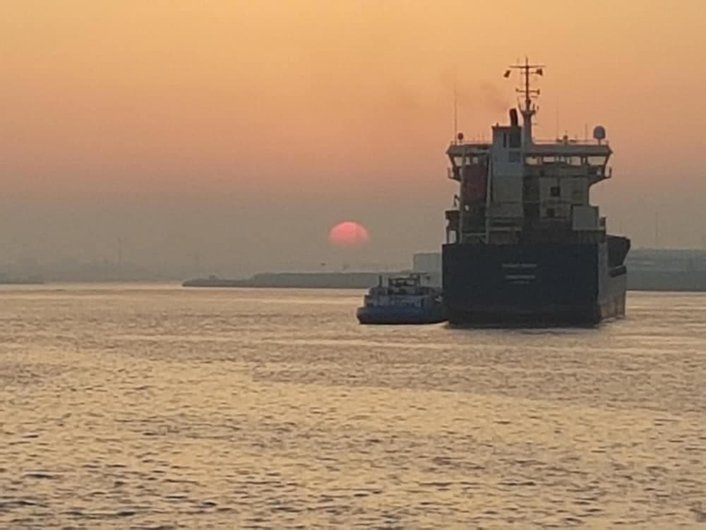 Because the Night City Lodge