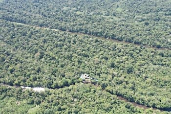 Jacamar Lodge Expeditions