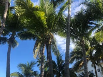 South Fleetwood Grace Bay