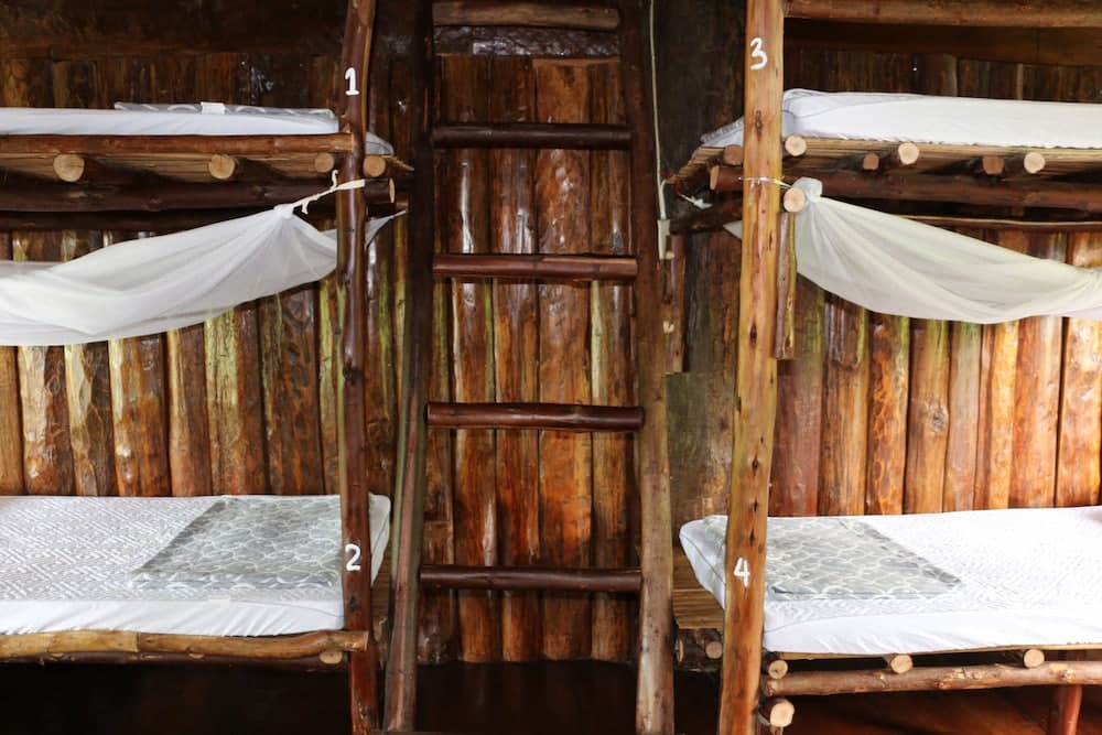 UP2U Guesthouse - Hostel