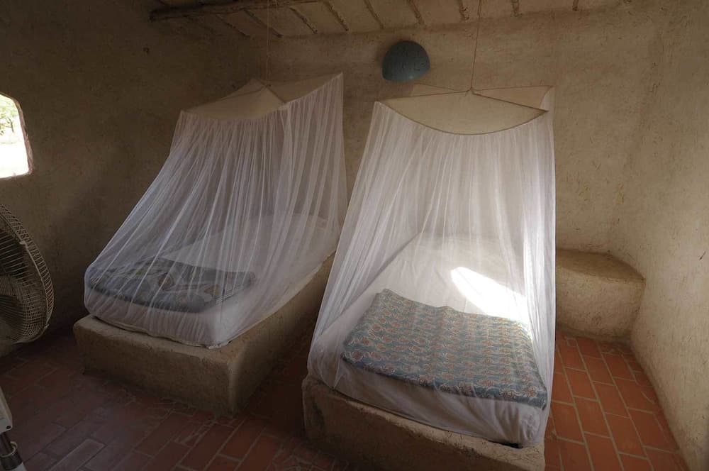 Ecolodge de Palmarin