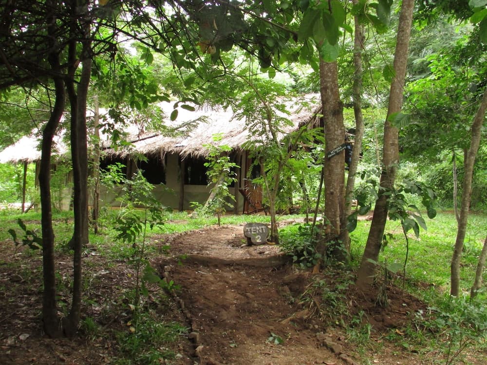 Udzungwa Forest Camp
