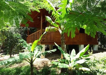 Rancho de Lelo Ecolodge & Sustainable Farm