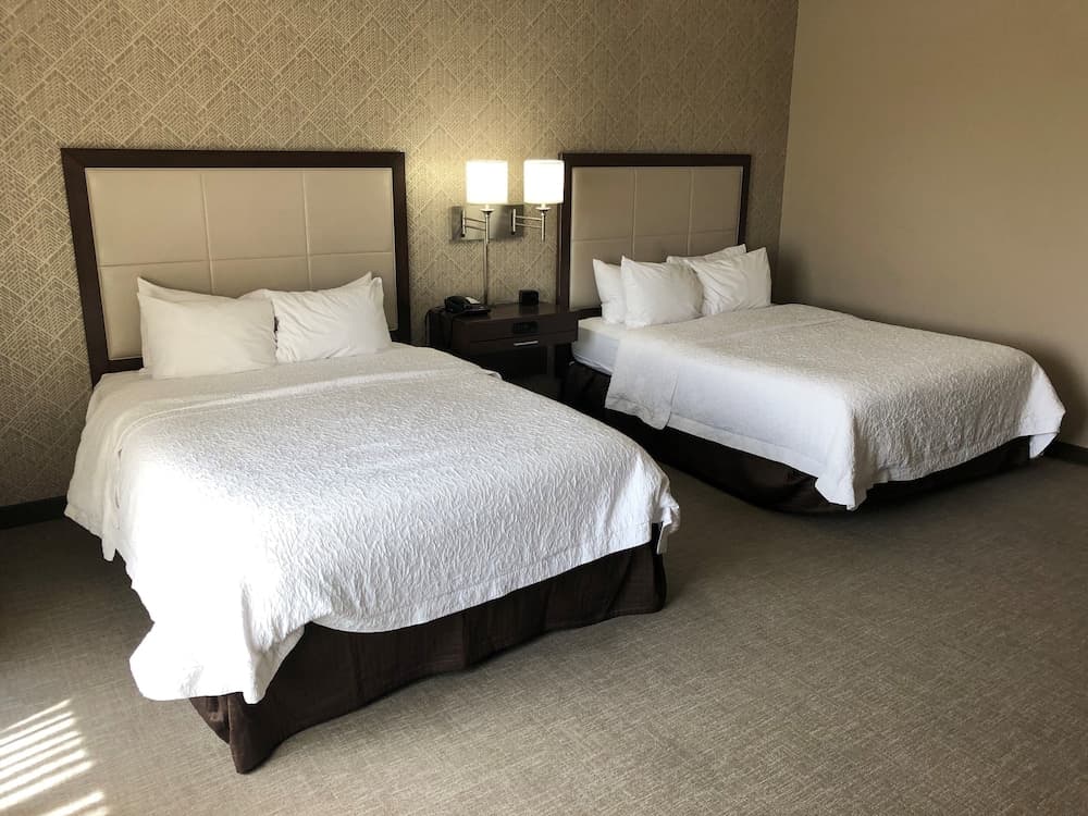 Hampton Inn & Suites Tampa Busch Gardens Area
