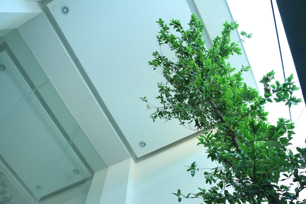 Departamento Céntrico Guadalajara