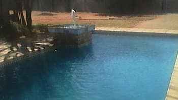 Royal Olympia Lodges and Safaris