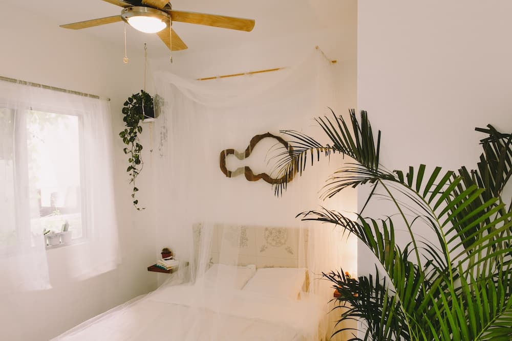 Boho Eco-Chic Boutique Resort