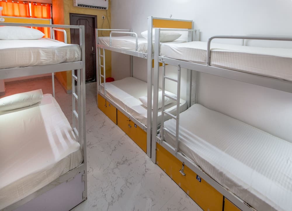 Backpacker Panda Delhi