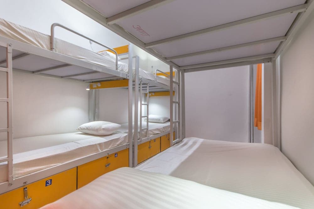 Backpacker Panda Delhi