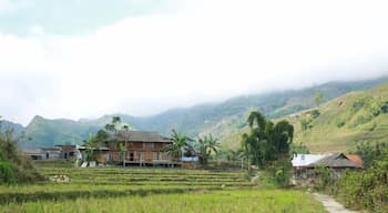 Cuong An Homestay Sapa