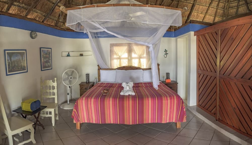 Nueva Vida de Ramiro