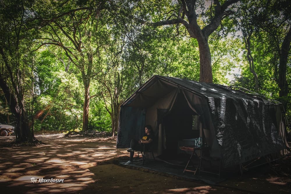 Ruhunu Safari Camping - Udawalawe