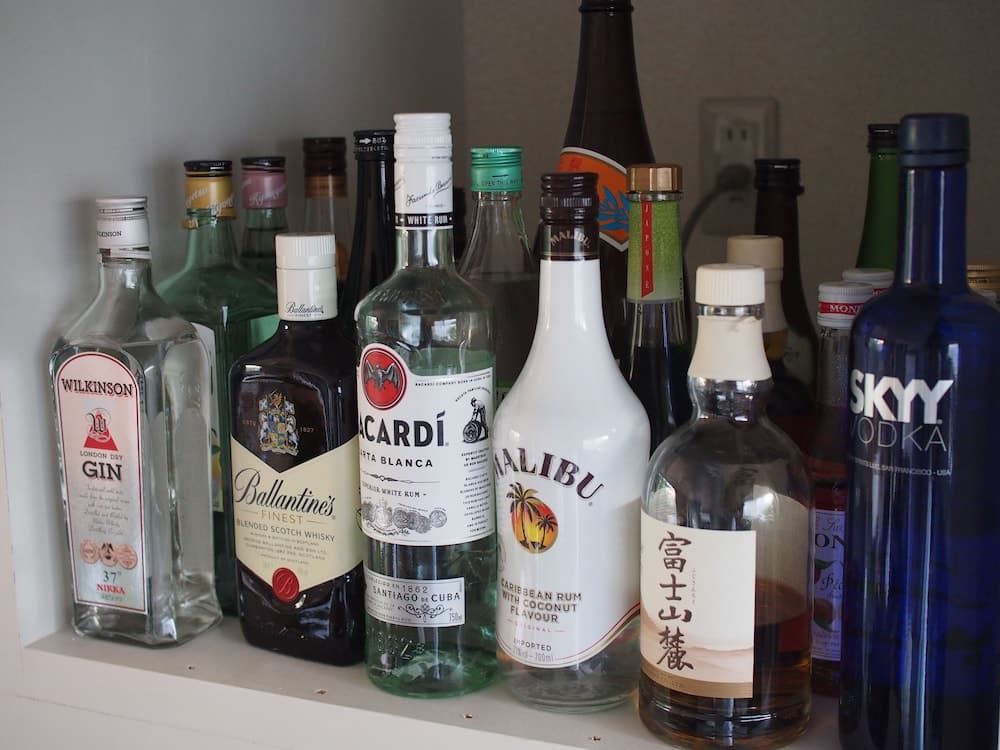 Kikkake Green and Mt.Fuji - Hostel