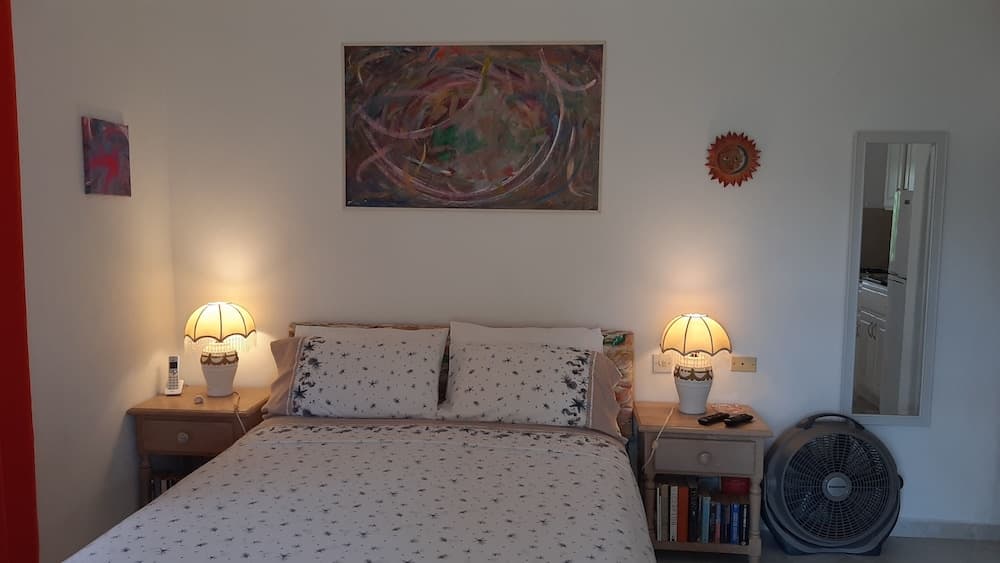 Tropical Gecko Studio