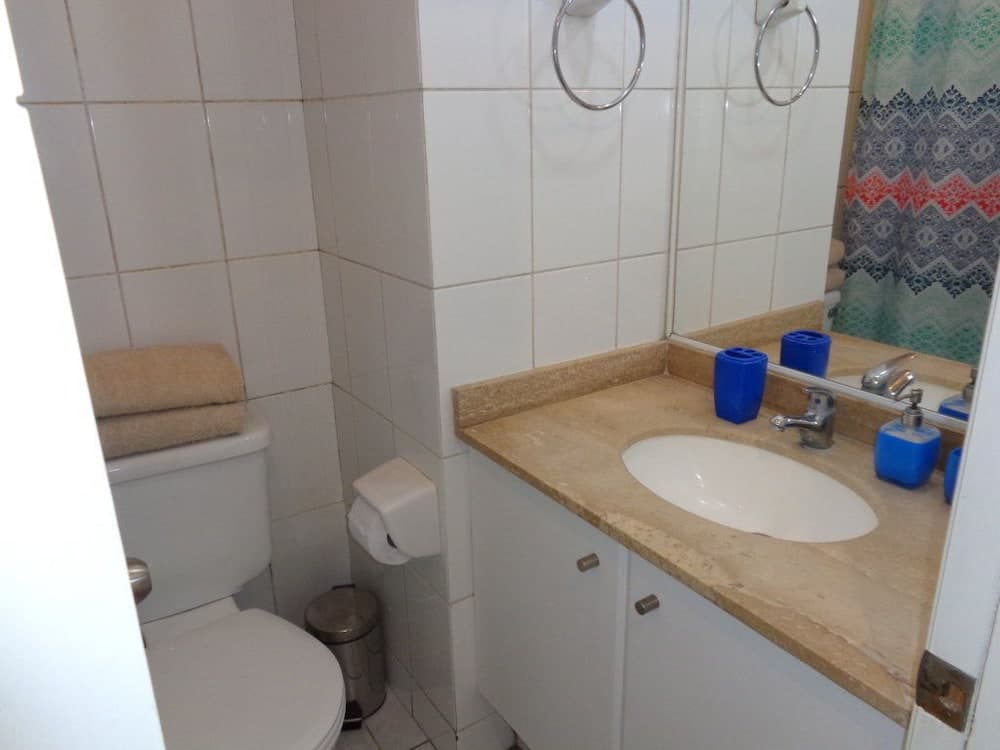 Departamento Vicuña Mackena