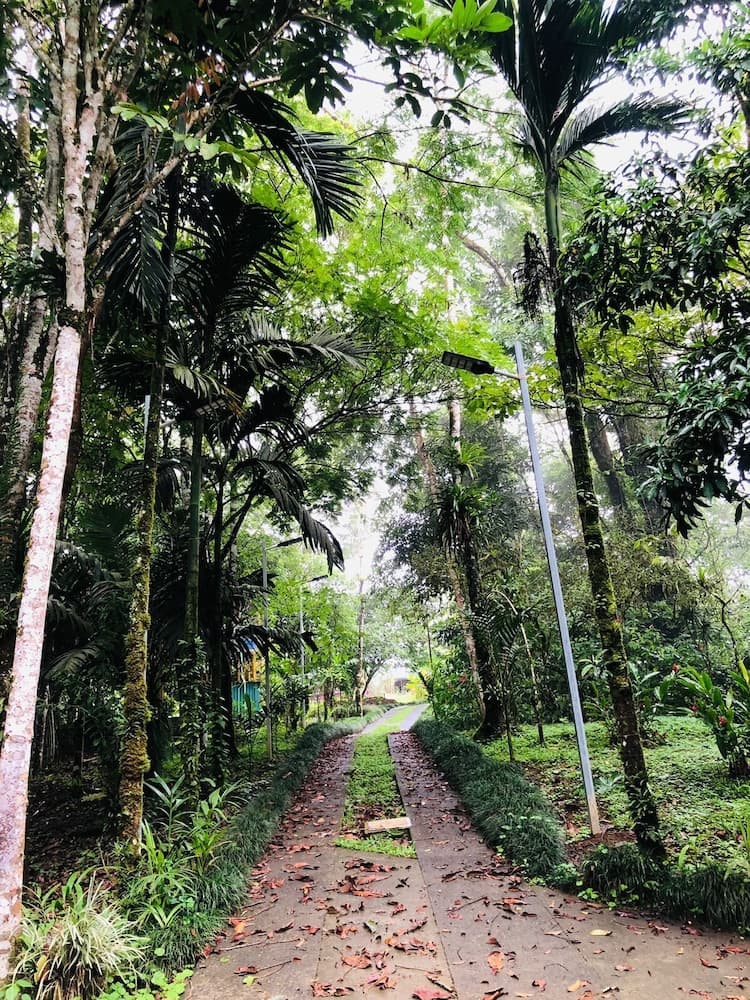 Avita Lodge Hotel de Montaña