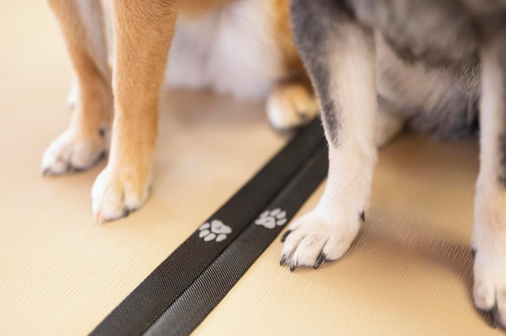 Hamanako Wan Wan Paradise Hotel