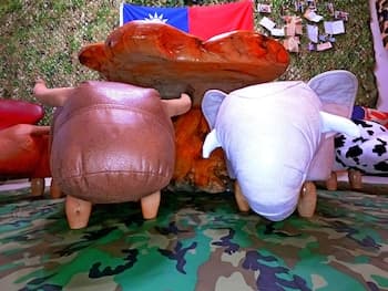 Sleeping bag Boar Backpacker - Hostel