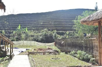 Thong Nguyen Homestay - Hostel